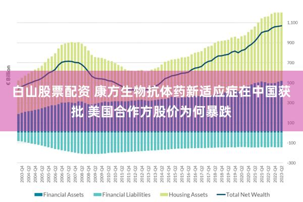白山股票配资 康方生物抗体药新适应症在中国获批 美国合作方股价为何暴跌