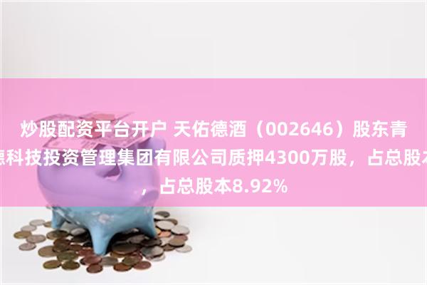 炒股配资平台开户 天佑德酒（002646）股东青海天佑德科技投资管理集团有限公司质押4300万股，占总股本8.92%