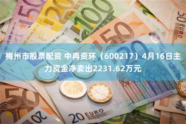 梅州市股票配资 中再资环（600217）4月16日主力资金净卖出2231.62万元