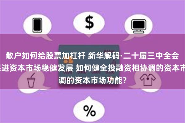 散户如何给股票加杠杆 新华解码·二十届三中全会决定｜促进资本市场稳健发展 如何健全投融资相协调的资本市场功能？