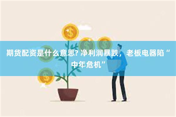 期货配资是什么意思? 净利润暴跌，老板电器陷“中年危机”