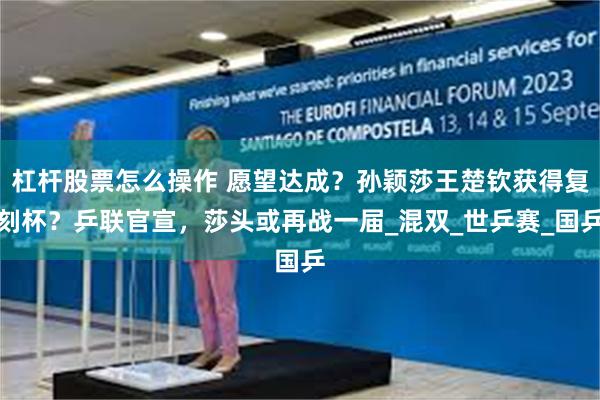 杠杆股票怎么操作 愿望达成？孙颖莎王楚钦获得复刻杯？乒联官宣，莎头或再战一届_混双_世乒赛_国乒