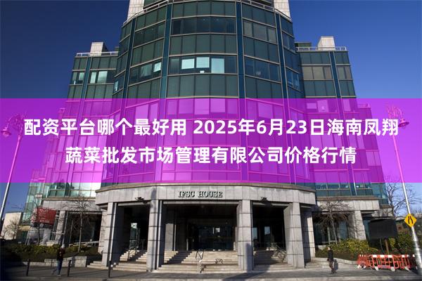 配资平台哪个最好用 2025年6月23日海南凤翔蔬菜批发市场管理有限公司价格行情