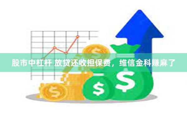 股市中杠杆 放贷还收担保费，维信金科赚麻了