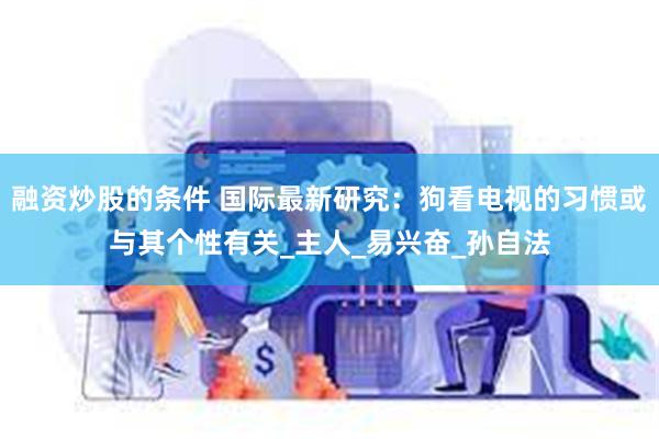 融资炒股的条件 国际最新研究：狗看电视的习惯或与其个性有关_主人_易兴奋_孙自法