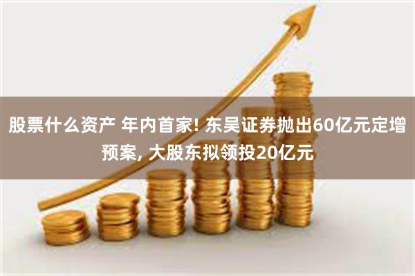 股票什么资产 年内首家! 东吴证券抛出60亿元定增预案, 大股东拟领投20亿元