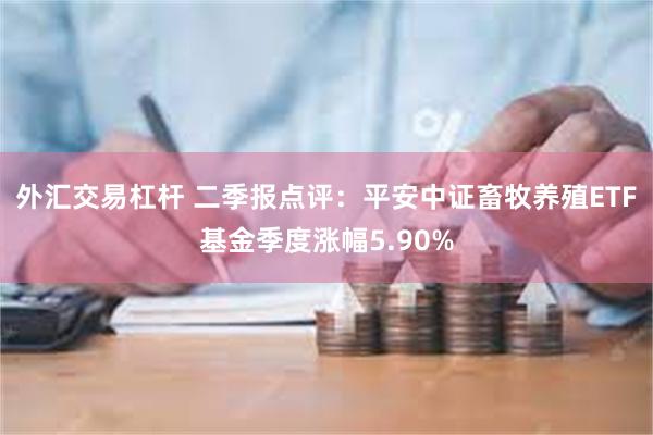 外汇交易杠杆 二季报点评：平安中证畜牧养殖ETF基金季度涨幅5.90%