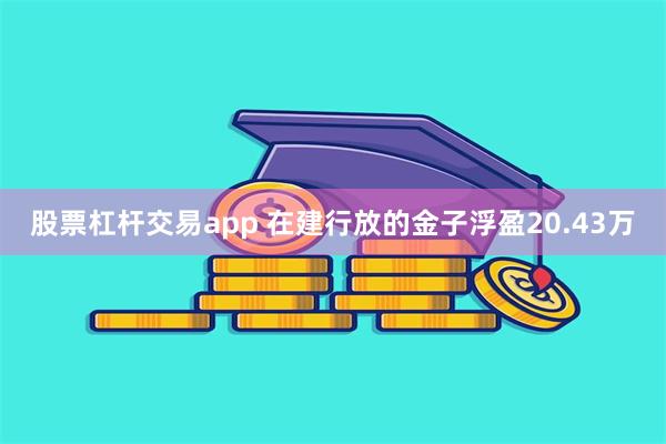 股票杠杆交易app 在建行放的金子浮盈20.43万