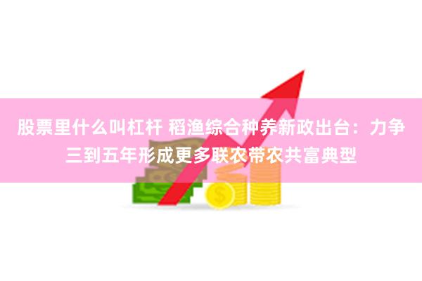 股票里什么叫杠杆 稻渔综合种养新政出台：力争三到五年形成更多联农带农共富典型