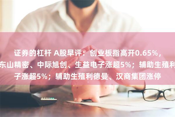 证券的杠杆 A股早评：创业板指高开0.65%，CPO概念盘初活跃！东山精密、中际旭创、生益电子涨超5%；辅助生殖利德曼、汉商集团涨停