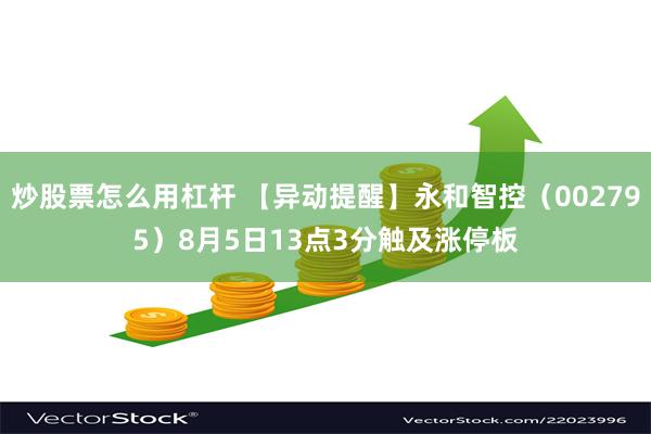 炒股票怎么用杠杆 【异动提醒】永和智控（002795）8月5日13点3分触及涨停板