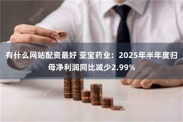 有什么网站配资最好 亚宝药业：2025年半年度归母净利润同比减少2.99%