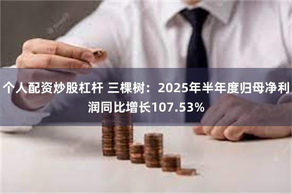 个人配资炒股杠杆 三棵树：2025年半年度归母净利润同比增长107.53%