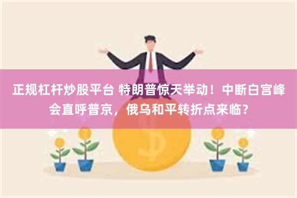 正规杠杆炒股平台 特朗普惊天举动！中断白宫峰会直呼普京，俄乌和平转折点来临？