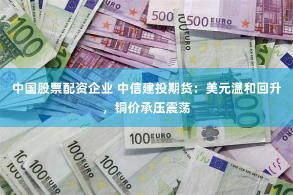 中国股票配资企业 中信建投期货：美元温和回升，铜价承压震荡